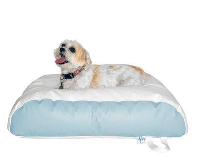 Dura-Bean Dog Bed