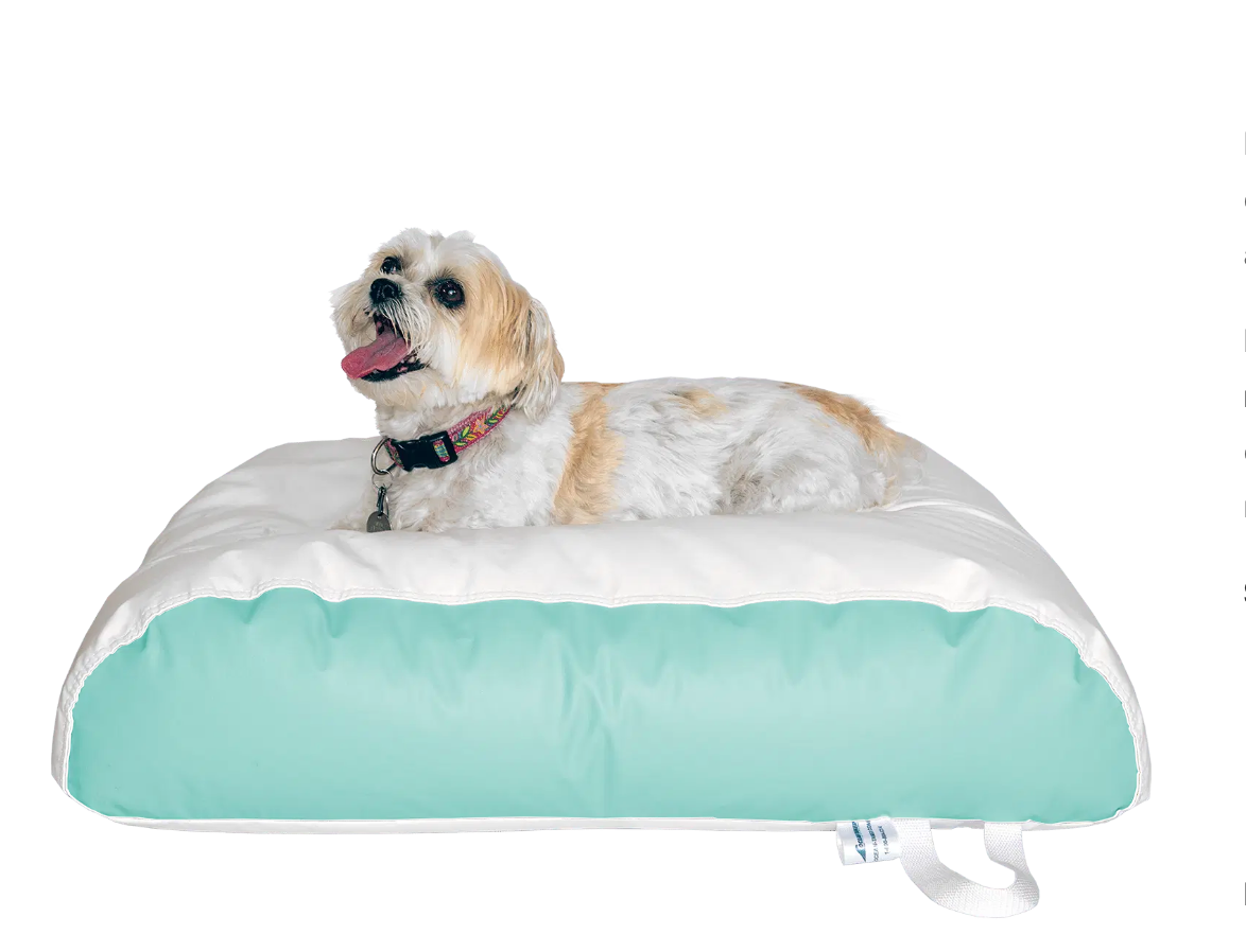 Dura-Bean Dog Bed