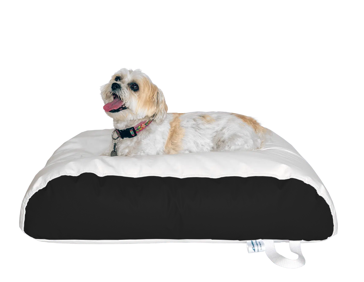 Dura-Bean Dog Bed