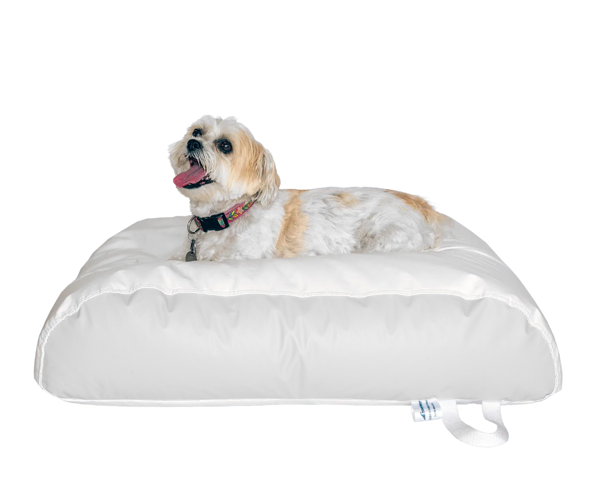 Dura-Bean Dog Bed