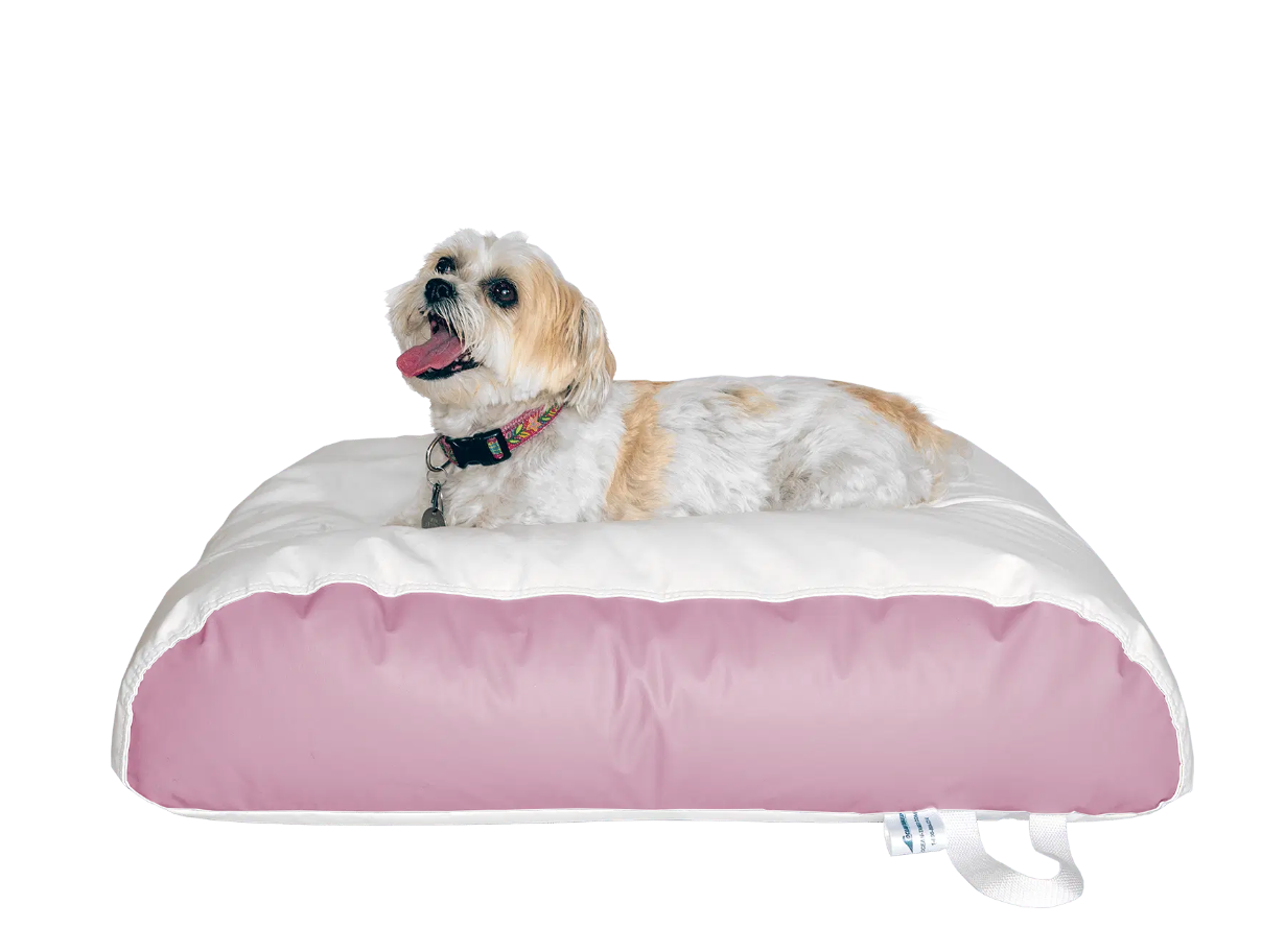 Dura-Bean Dog Bed