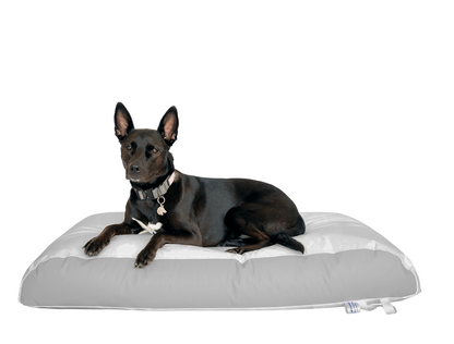 Dura-Bean Dog Bed