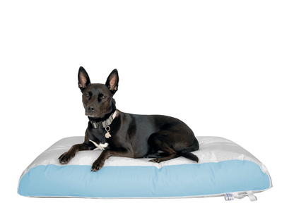 Dura-Bean Dog Bed