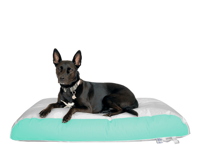 Dura-Bean Dog Bed