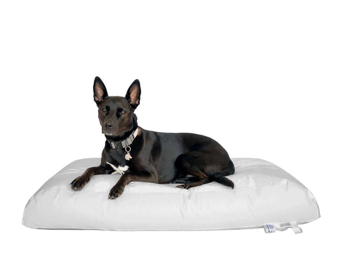 Dura-Bean Dog Bed