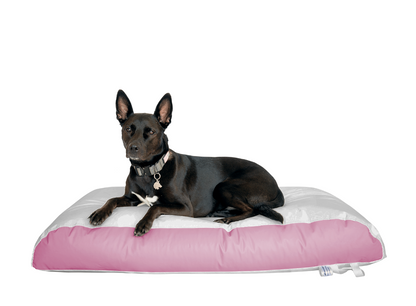 Dura-Bean Dog Bed