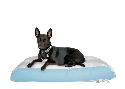 Dura-Bean Dog Bed